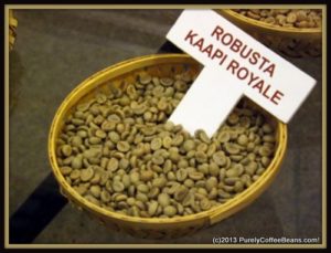 Robusta coffee beans